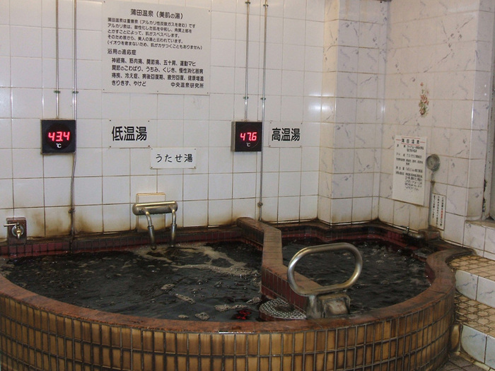 蒲田温泉 (1)