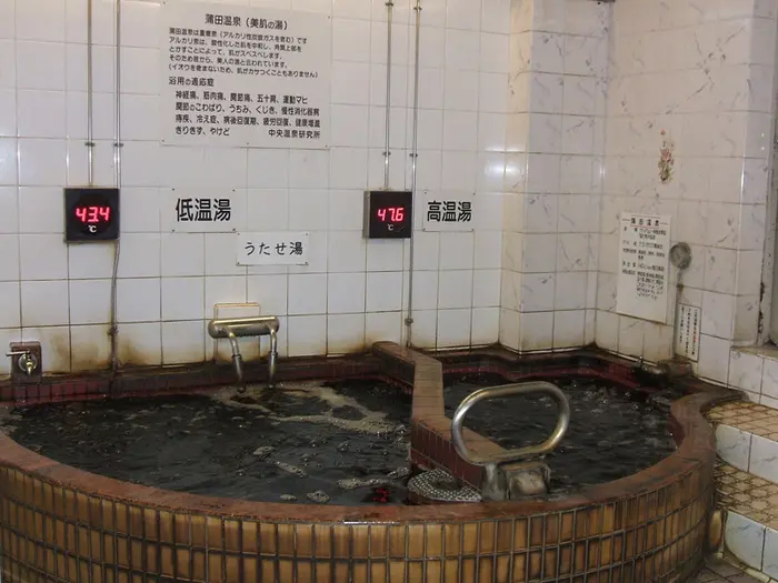蒲田温泉 (1)