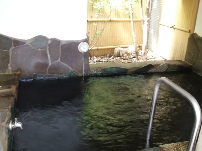 ヌーランド さがみゆ (1)