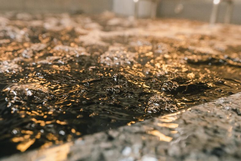 武蔵小山温泉 清水湯 (3)