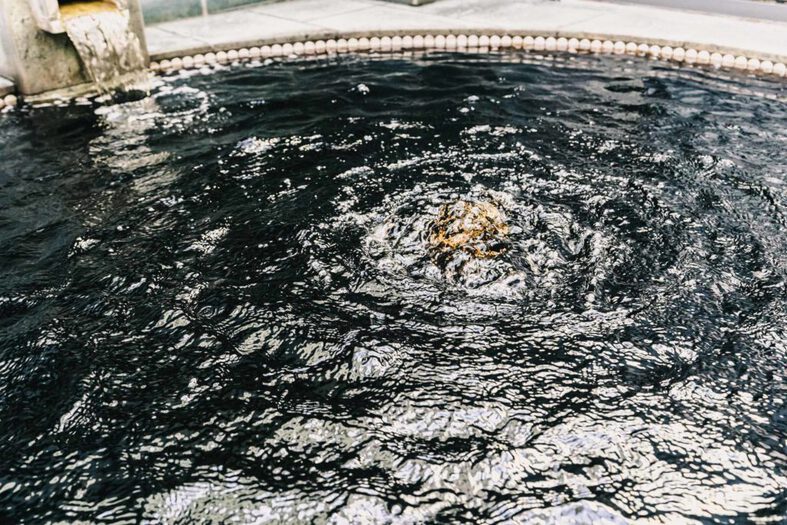 戸越銀座温泉 (1)