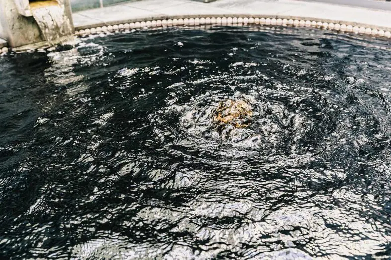 戸越銀座温泉 (1)